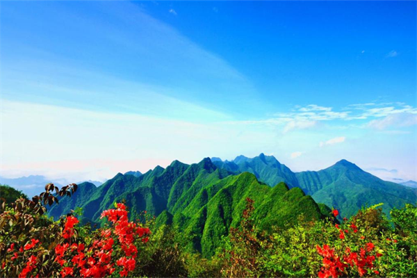 重庆景区图片真实照片图片