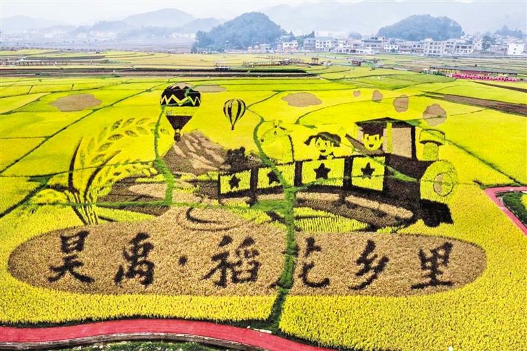 安顺平坝：稻田画里说丰年_fororder_4