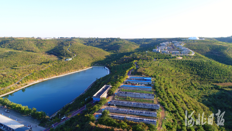 邢台沙河：多彩田园游人醉