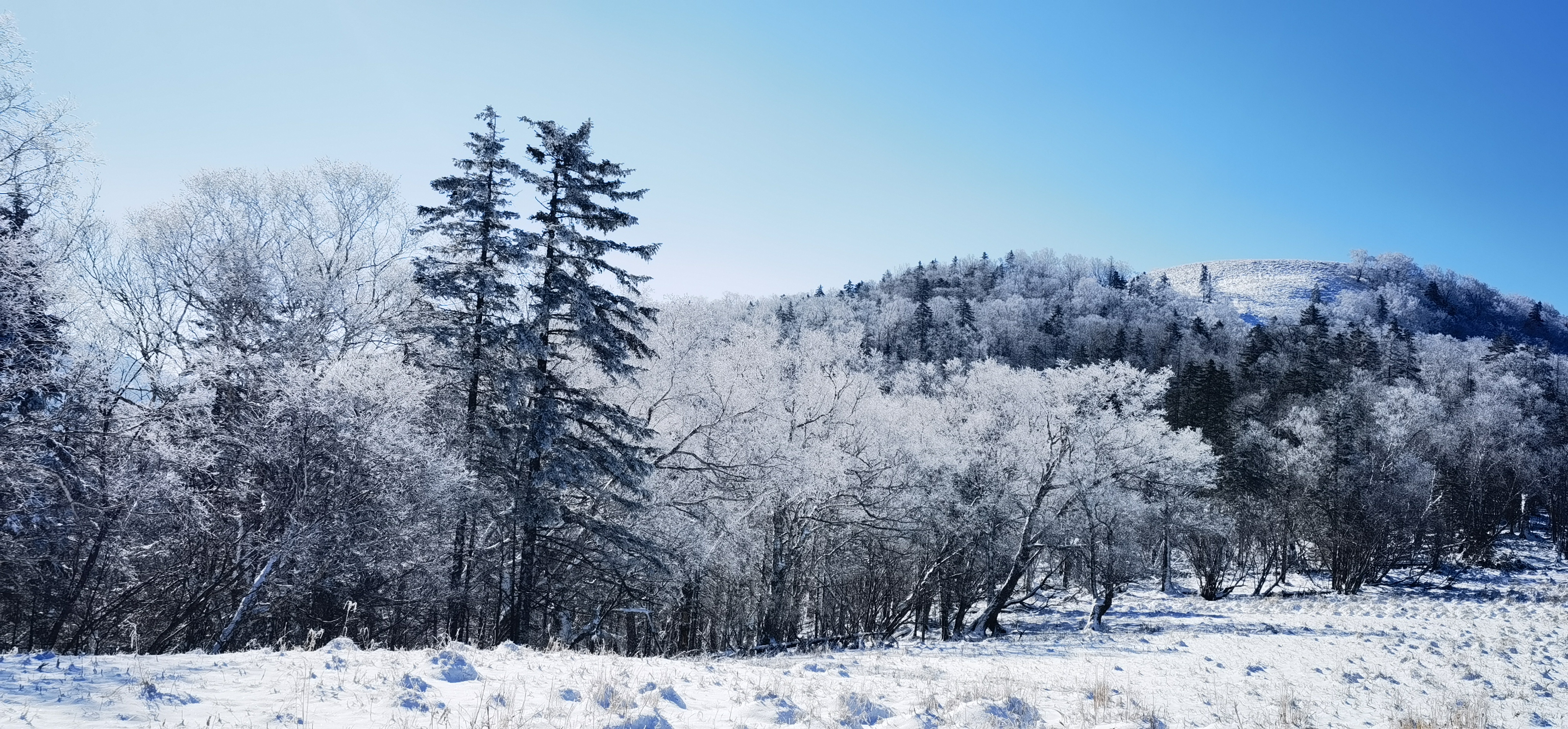 迎入秋最大降雪 亚雪公路美如画