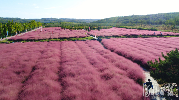 邢台沙河：多彩田园游人醉