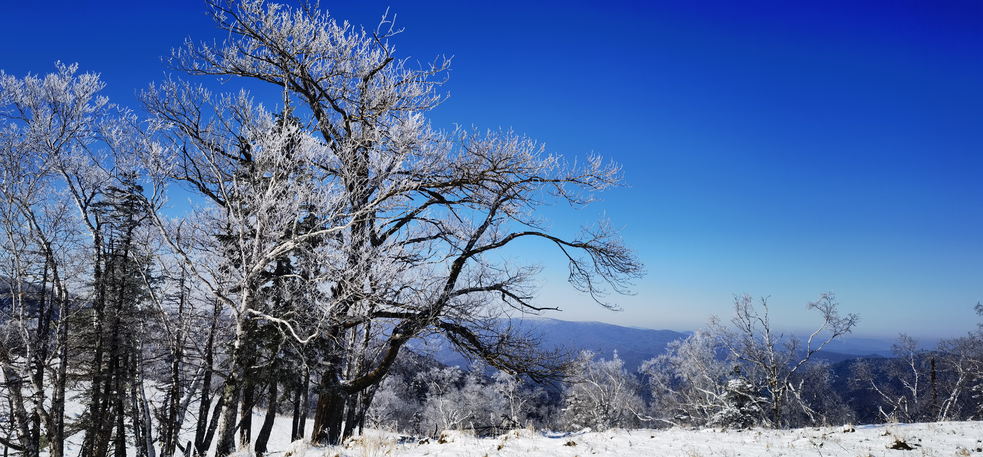 迎入秋最大降雪 亚雪公路美如画