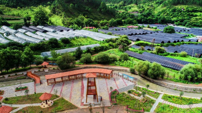 四川木裏：一座“天然動植物園”