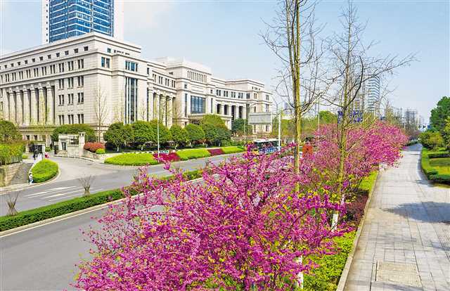重庆两江新区全力推动城市品质再升级