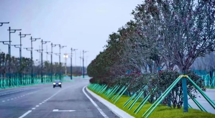 西鹹新區秦漢新城茶馬南路成功入選西安9月份“最佳路段”_fororder_3