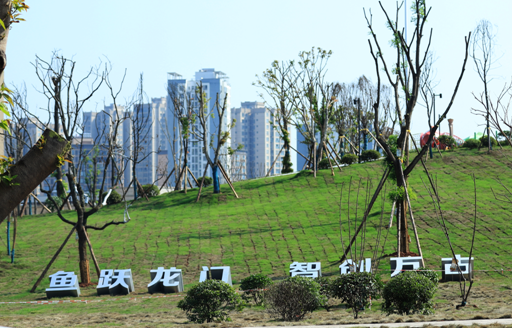 【原創】重慶市大足區萬古鎮：昔日荒坡變公園 群眾暢遊笑開顏_fororder_微信圖片_20221014145721