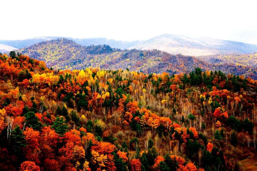 黑龙江伊春:深秋山林尽染"五花色"-国际在线