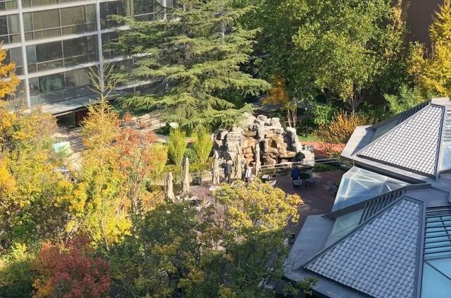 英国杰典 | 老牌酒店转型路：大家保险·朝阳养老社区探索“在地养老”新可能