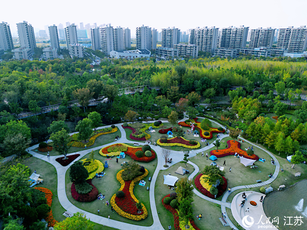 江苏南通紫琅花谷宛如秋日画卷