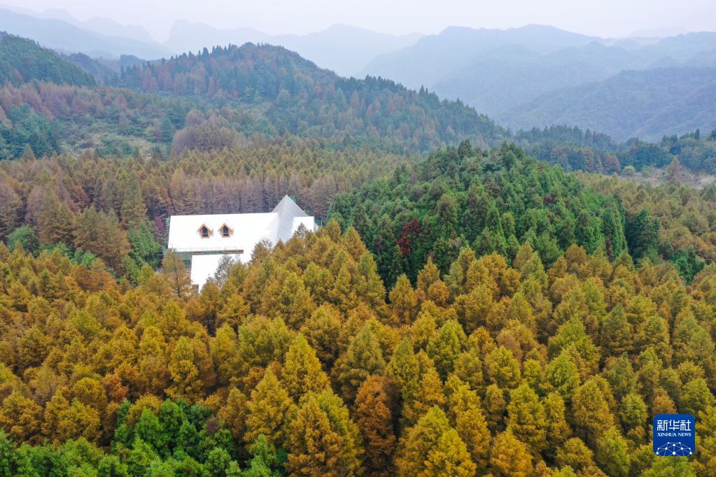 重慶南川：農旅融合助推鄉村振興