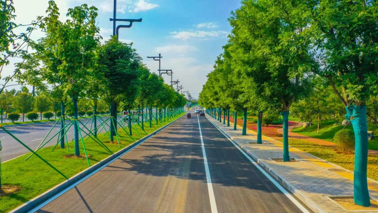 西鹹新區秦漢新城茶馬南路成功入選西安9月份“最佳路段”_fororder_4