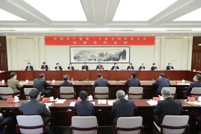 河南省代表团举行全体会议