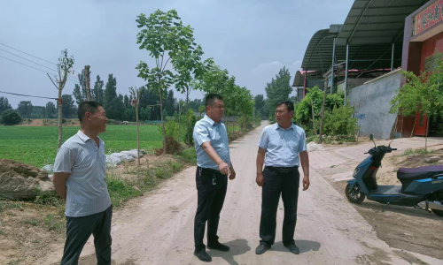 庄头镇：以“能力作风大提升”为抓手 开展人居环境整治 夯实乡村振兴基础