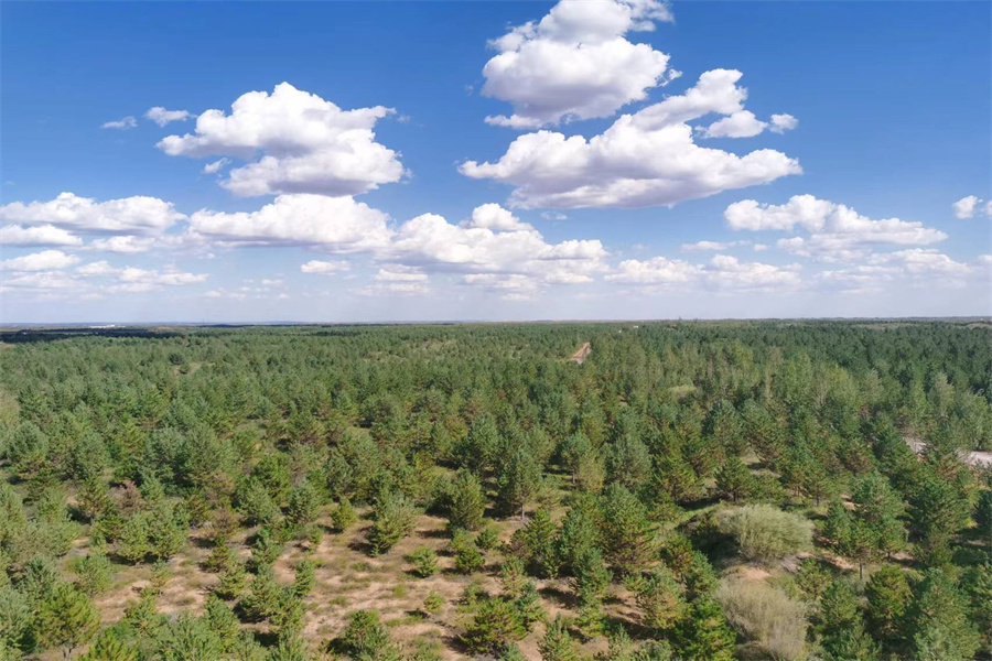 张应龙：用科技唤醒生态的自我生命力_fororder_图片3