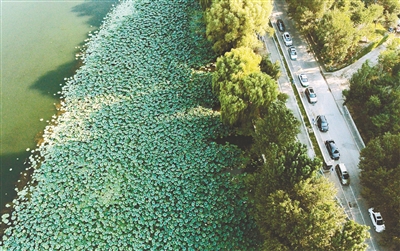瀋陽：“城市綠肺” 近“自然”