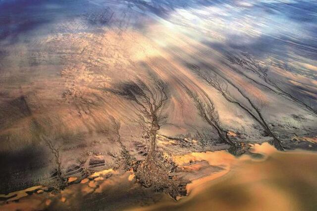 钱塘江壮观“潮汐树”_fororder_d5d42d06-3560-4032-8733-3665d966f837