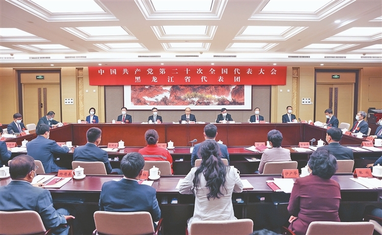 黑龙江省代表团召开全体会议 学习讨论党的二十大报告