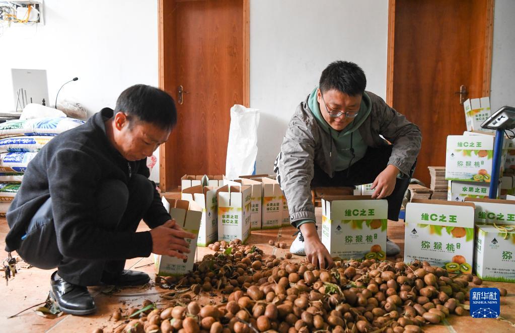 重慶南川：農旅融合助推鄉村振興