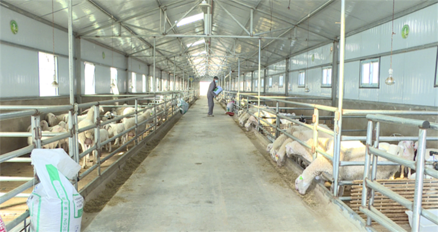 榆林府谷碛塄：抓住乡村建设“牛鼻子” 下好乡村振兴“先手棋”_fororder_3