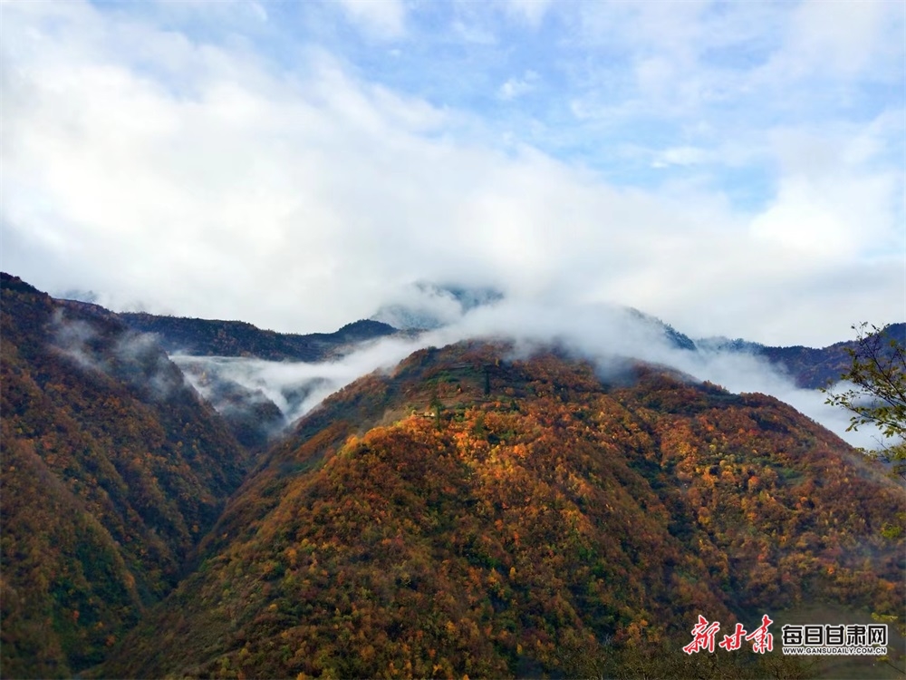 【鄉村振興】甘南舟曲大峪鎮：山水田園為鄉村振興添彩_fororder_6