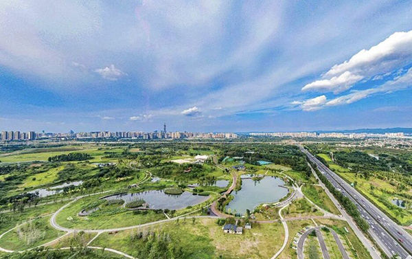 非凡十年｜成都锦江区：绘就公园城市“幸福画卷” “绿色引擎”激发经济活力_fororder_QQ图片20221018161340