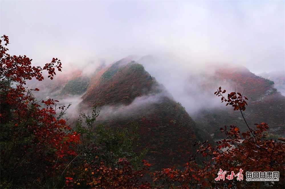 隴南：深秋，兩當山鄉似濃墨重彩的山水畫_fororder_2