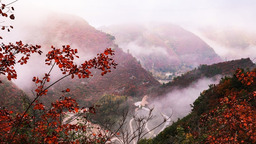隴南：深秋，兩當山鄉似濃墨重彩的山水畫
