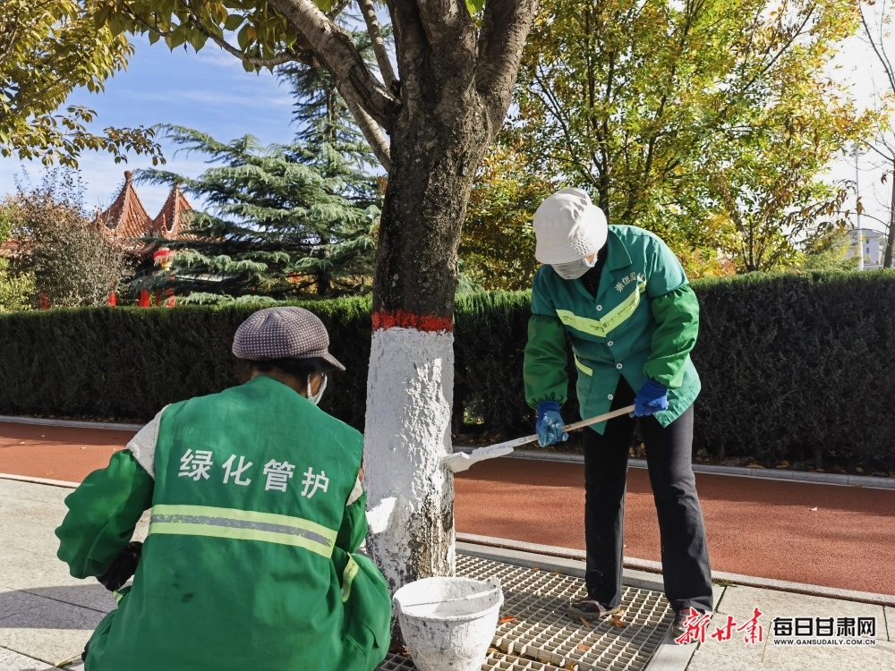 【平涼】平涼崇信城區行道樹塗白“穿新衣”_fororder_3