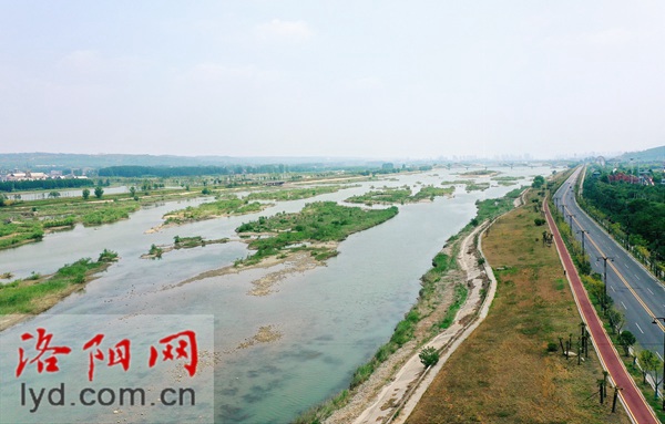Luoyang's 49.7-Thousand-Hectare Wetlands to Enter the Best Season for Bird Watching_fororder_00300606229_7609eab5