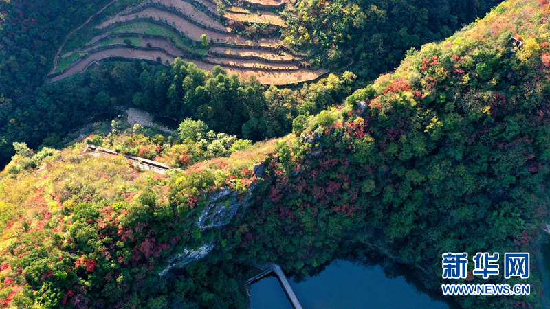 湖北南漳：層林盡染秋色美