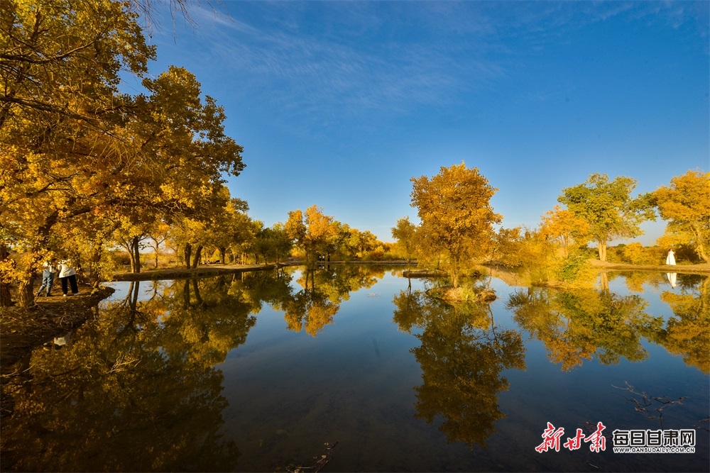 敦煌：霜染胡楊葉燦黃 天藍雲白映芬芳_fororder_6