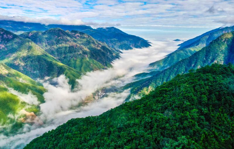 福建武夷山：创新驱动，打造生态文明新高地