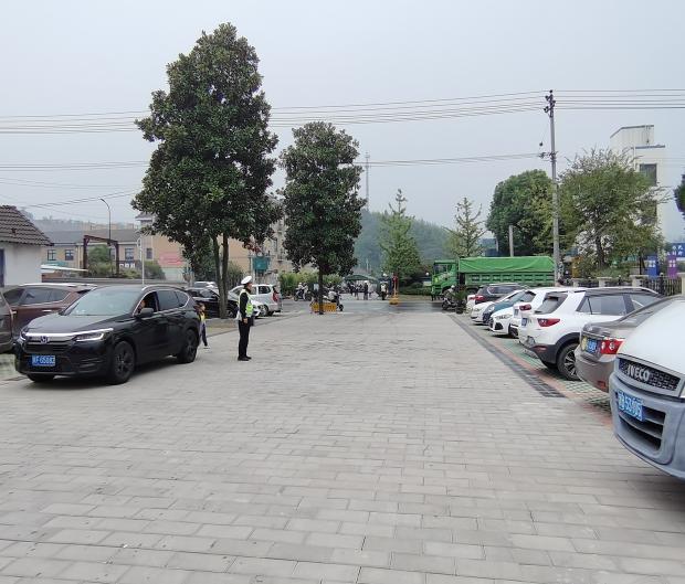 杭州板桥完善路网交通 打通美丽城镇发展“动脉”