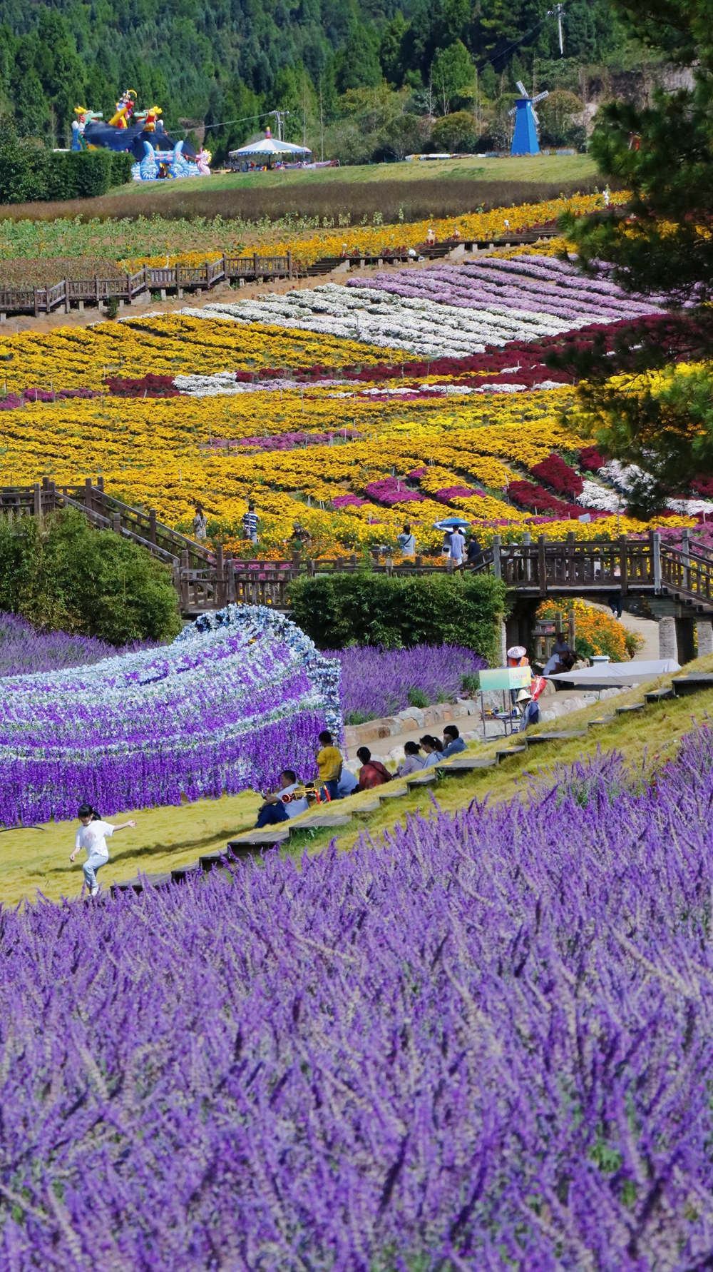 貴州麻江：“打卡”卡烏菊花園 賞秋日美景_fororder_692d1207c8bbff518e2738d36d07f74