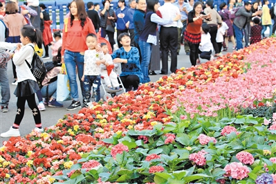 1561.10萬人過年花城看花 廣州旅遊人氣口碑的雙豐收