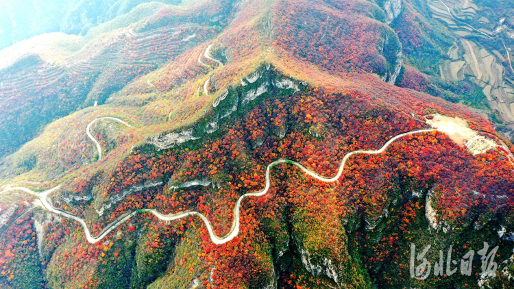 邢台沙河：秋染太行叶渐红