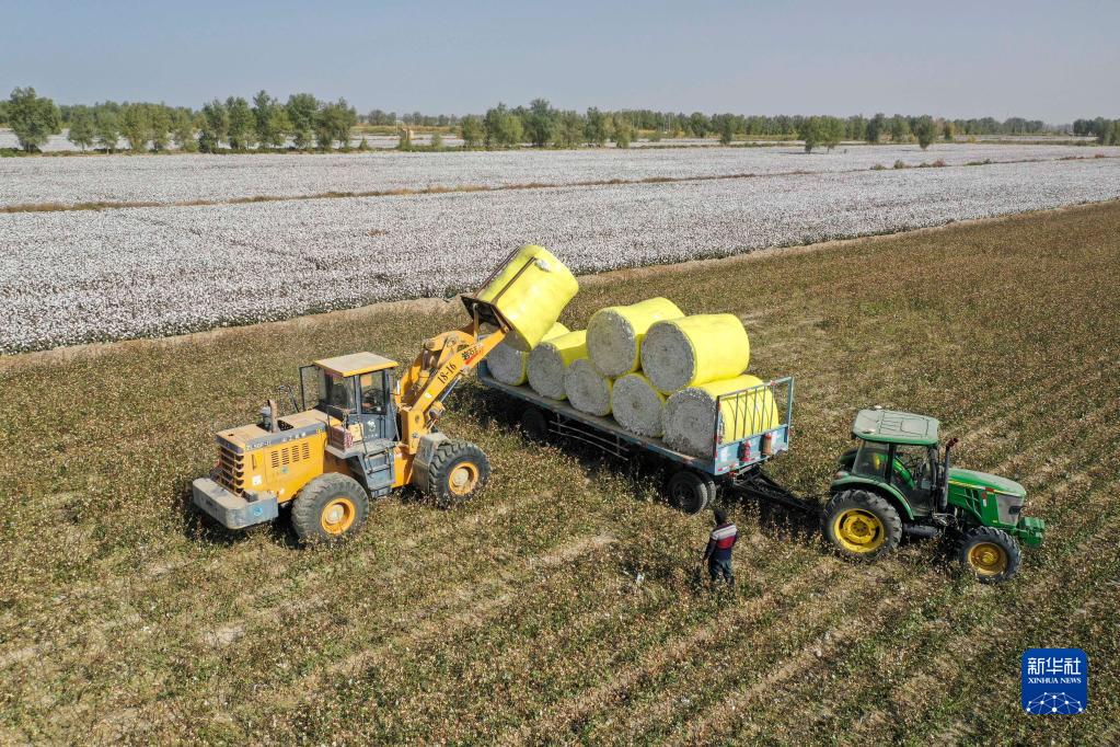 新疆：农机助力棉花采收