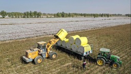 新疆：农机助力棉花采收