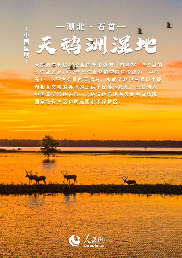 中国湿地大赏丨邀你共赏绝美风光 每张都值得收藏！