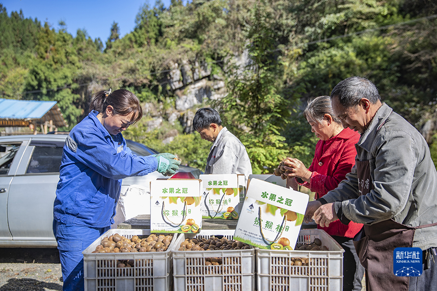 重庆南川：生态产业助农增收