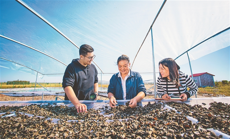 延壽聯農帶農特色産業促振興