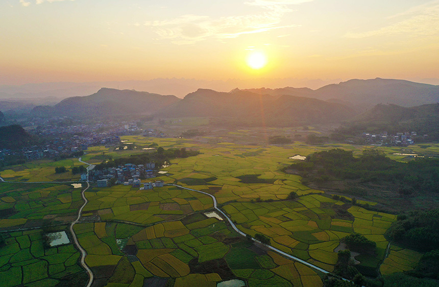 广西融水：霜降时节好“丰”景