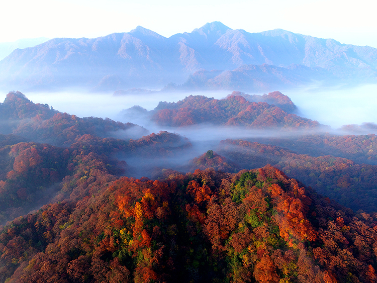 光雾山全景图图片