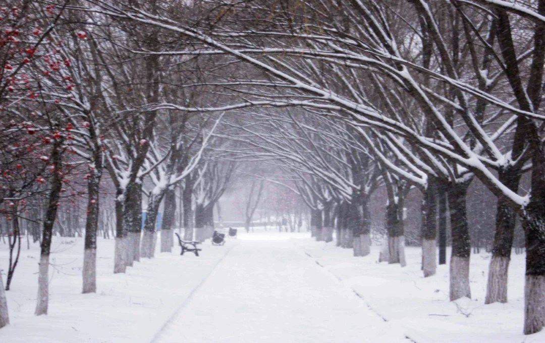 來這裡看飄雪的黑龍江