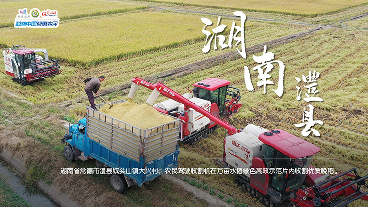 粮田绘“丰”景 | 颗粒归仓！全国秋粮收获超11亿亩
