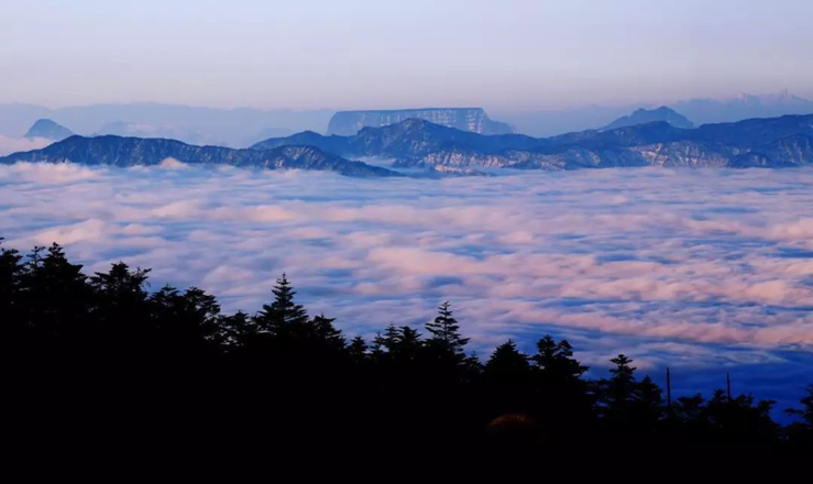（转载）《生态秘境》总撰稿张海龙：像苏东坡那样感受生态秘境