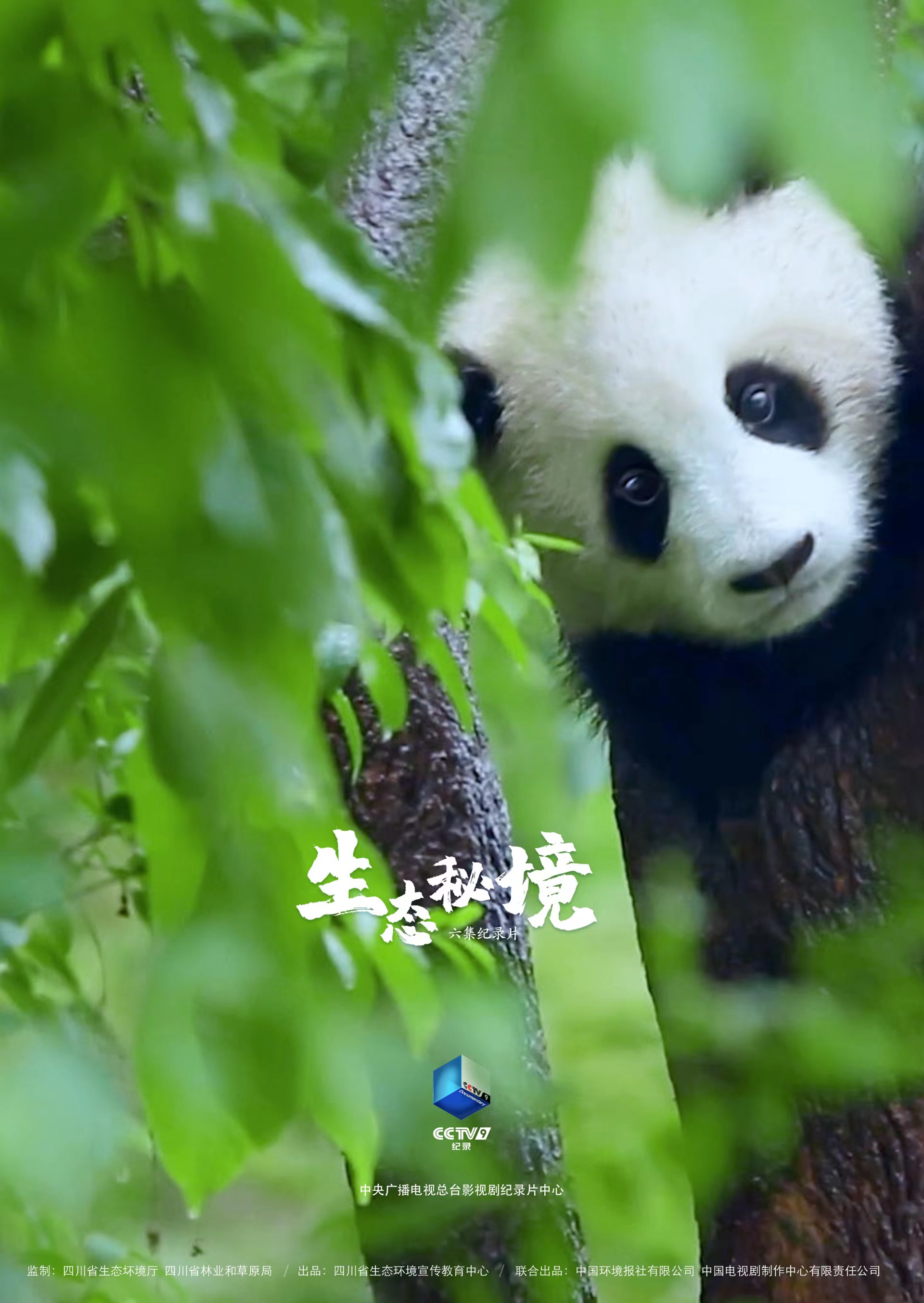 （转载）《生态秘境》总撰稿张海龙：像苏东坡那样感受生态秘境