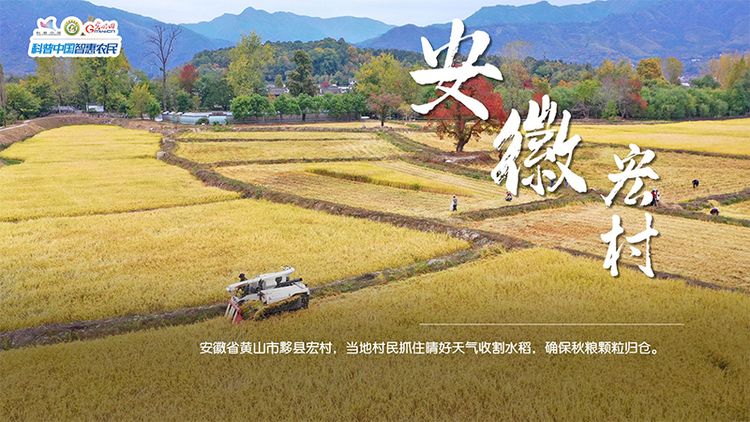 粮田绘“丰”景 | 颗粒归仓！全国秋粮收获超11亿亩