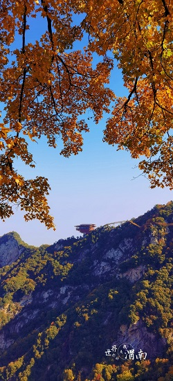 Picturesque Autumn Scenery of Shaohua Mountain in Shaanxi Province_fororder_图片3
