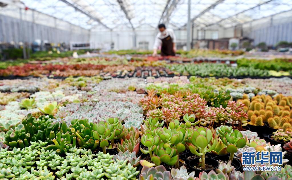 （轉載）西安：發展“農業景區” 助力鄉村振興